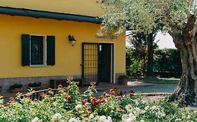 B&B Villa Nel Verde - Camera Luminosa con Bagno Privato, Vicino Bologna